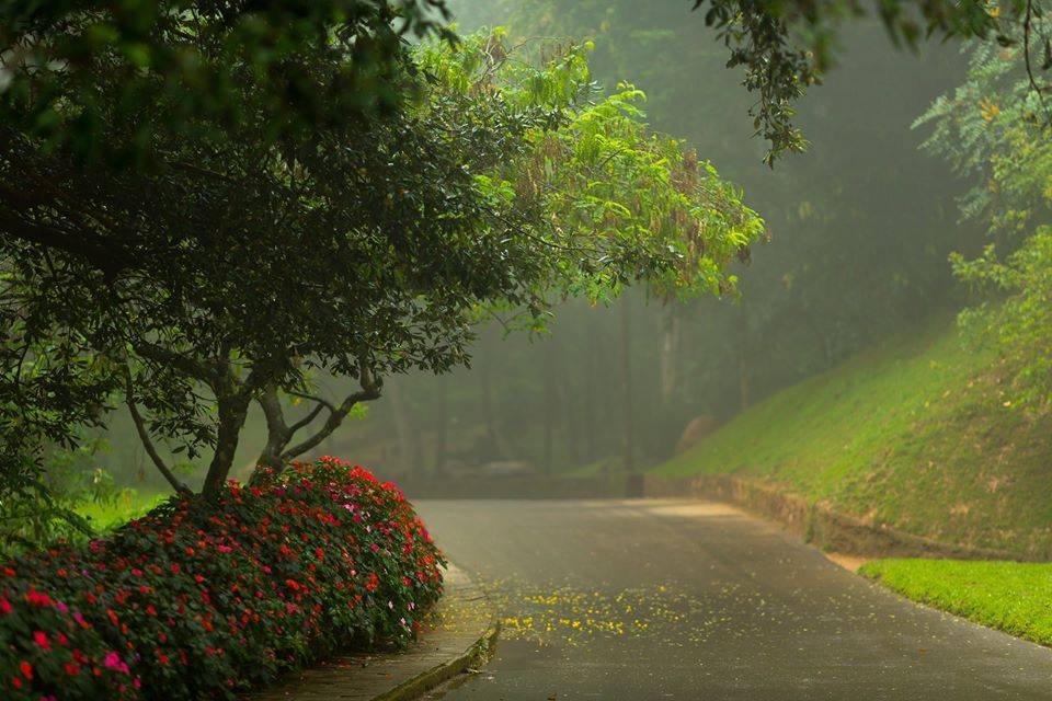 Hakgala Botanical Garden: A Captivating Botanical Paradise in Sri Lanka