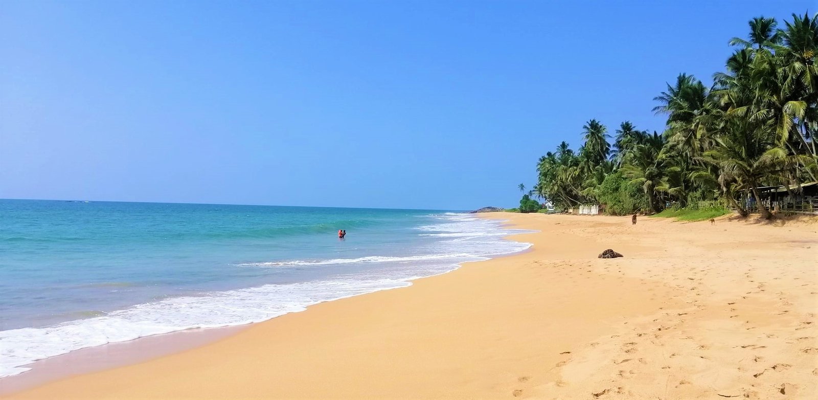 Induruwa Beach – Attractions- The 10 best beach hotels in Induruwa Sri Lanka-