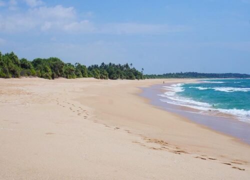 Rekawa Beach Discover the Serenity: A Tranquil Escape in Sri Lanka