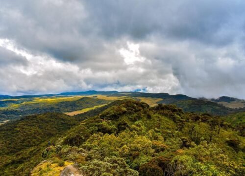 Trekking Kirigalpoththa Mountain –  A Breathtaking Adventure in Sri Lanka