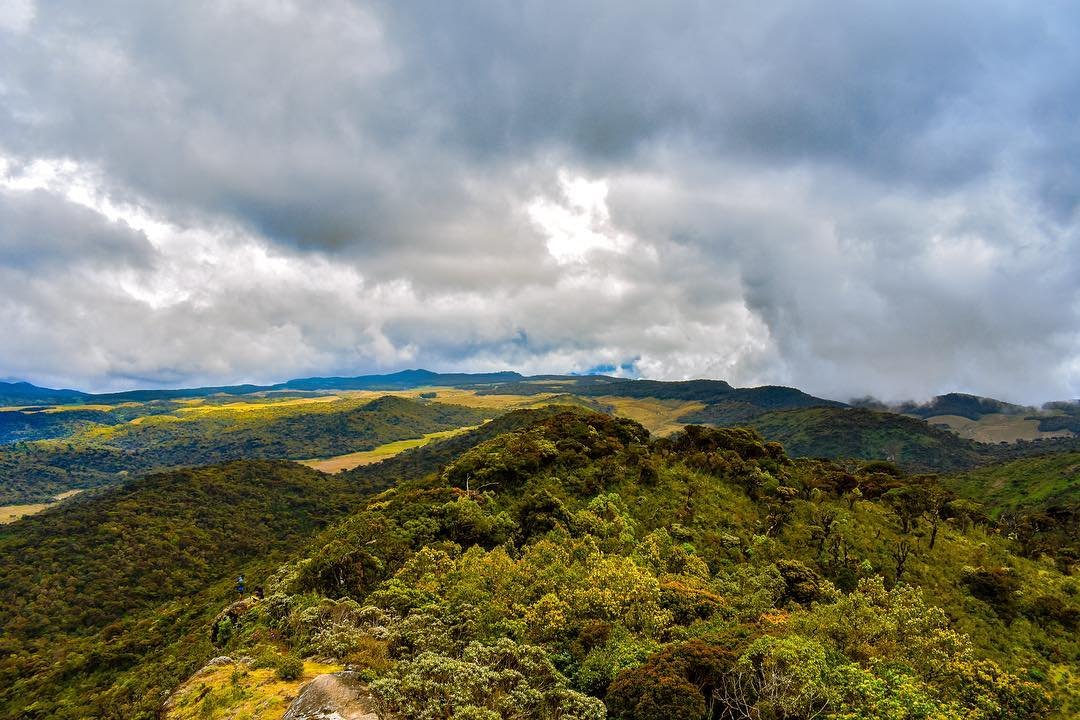 Hike to the summit of Kirigalpoththa Mountain