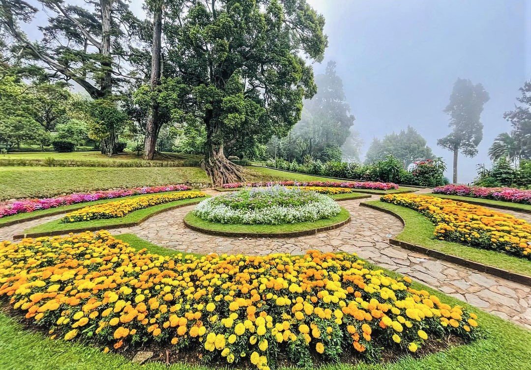 Hakgala Botanical Gardens Nuwara Eliya