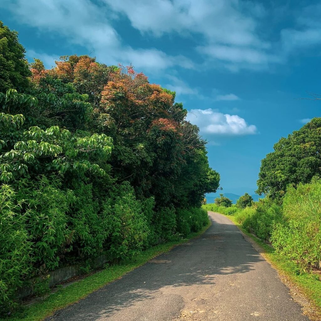 Riverston Mountain Hike in Matale - Sri Lanka